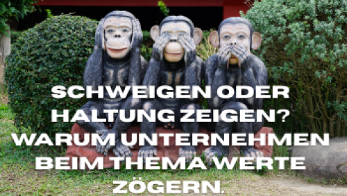 DIE 3 Affen: nichts hören, nichts sehen, nicht sprechen